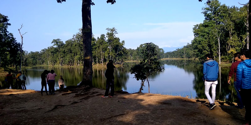 Jeep Safari in Chitwan National Park