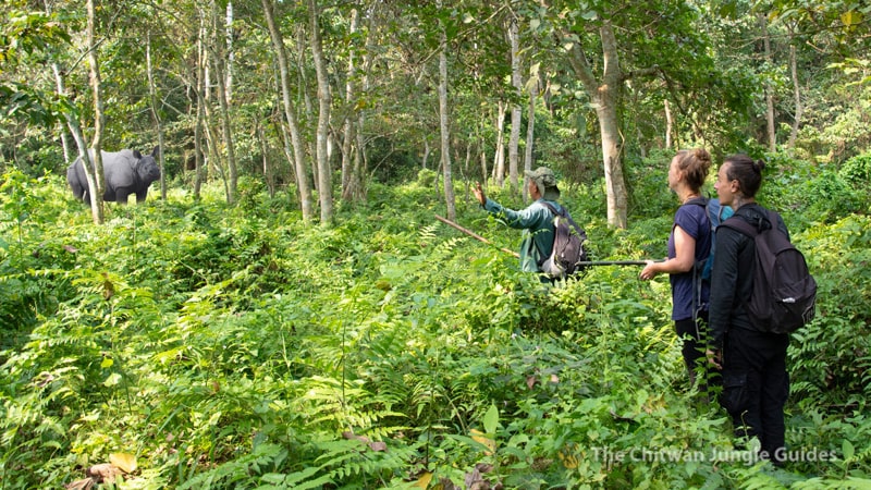 Jeep Safari in Chitwan National Park
