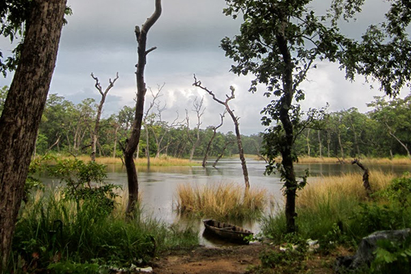 Jeep Safari in Chitwan National Park