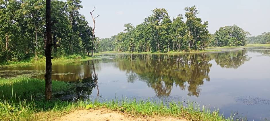 Jeep Safari in Chitwan National Park