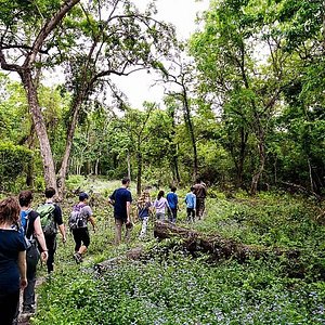 Jeep Safari in Chitwan National Park