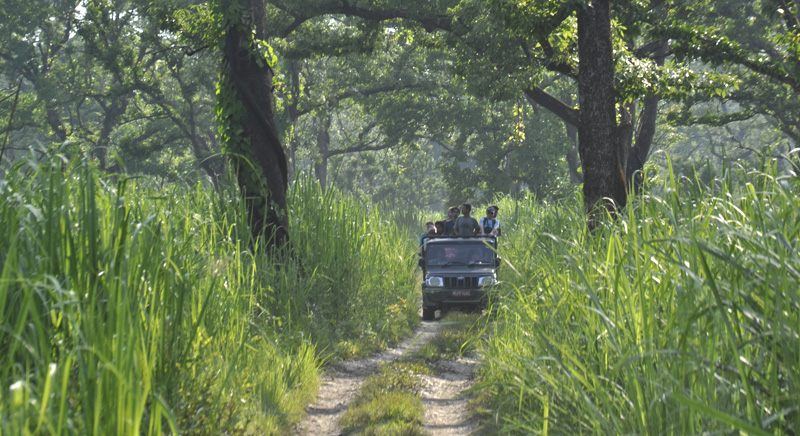 Jeep Safari in Chitwan National Park