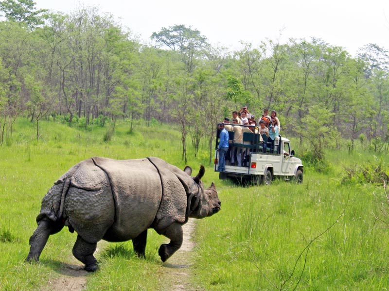Jeep Safari in Chitwan National Park