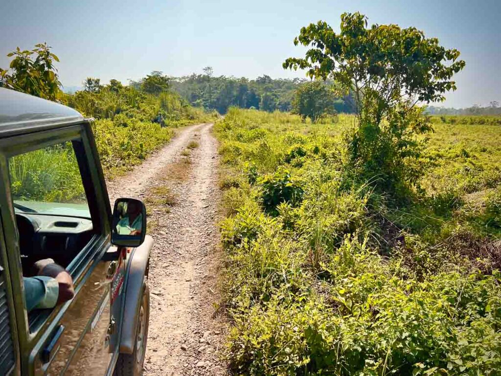Jeep Safari in Chitwan National Park