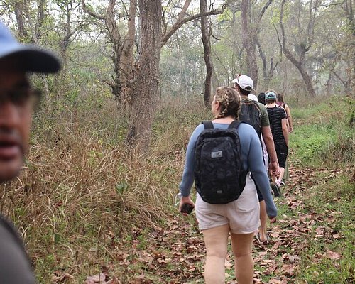 Jeep Safari in Chitwan National Park