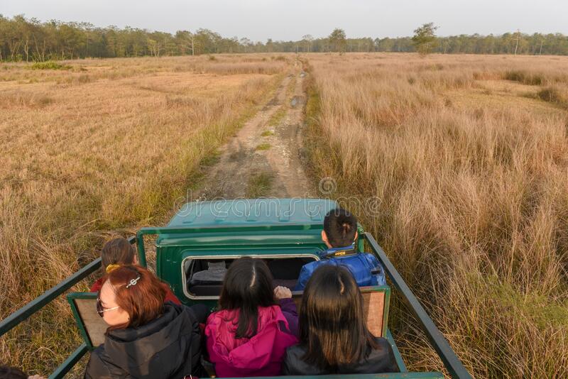 Jeep Safari in Chitwan National Park